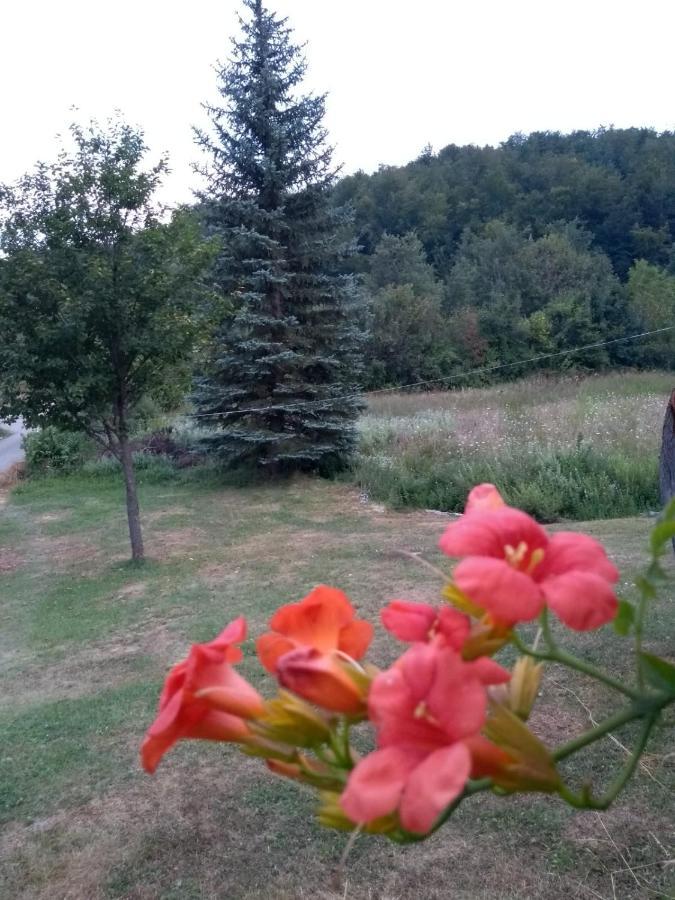 Apartman Sveti Rok Екстериор снимка